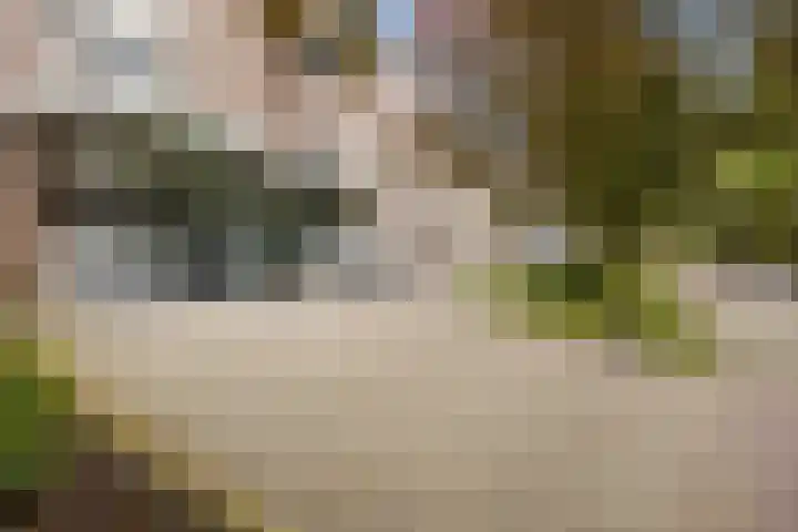 Helper Brink 61 156 Groningen thumbnail 14