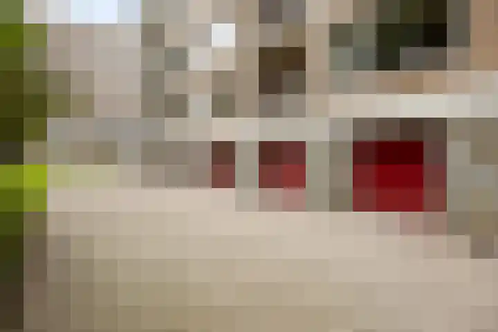 Helper Brink 61 156 Groningen thumbnail 15