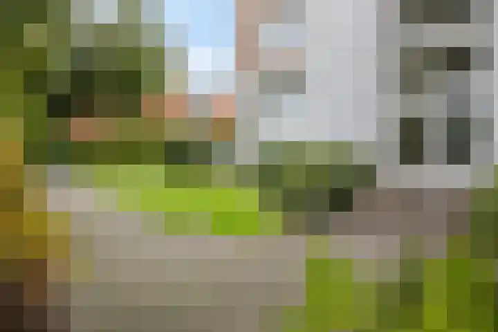 Helper Brink 61 156 Groningen thumbnail 16
