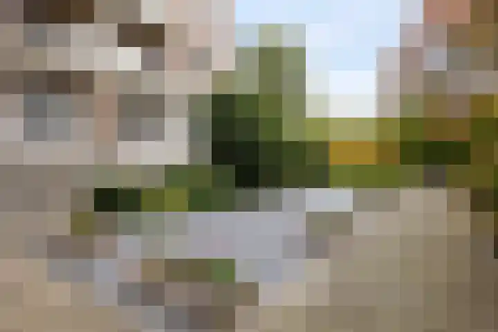 Helper Brink 61 156 Groningen thumbnail 17