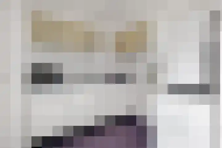 Helper Brink 61 156 Groningen thumbnail 31