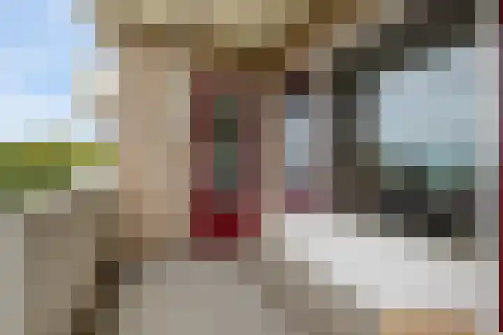 Helper Brink 61 156 Groningen thumbnail 41