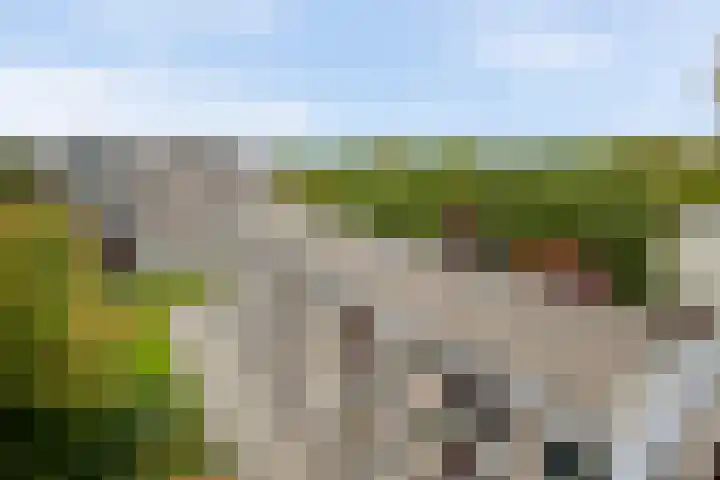 Helper Brink 61 156 Groningen thumbnail 42