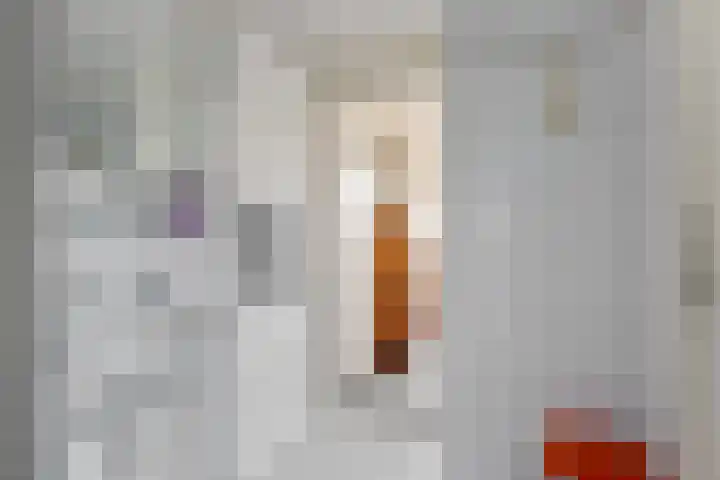 Helper Brink 61 156 Groningen thumbnail 57