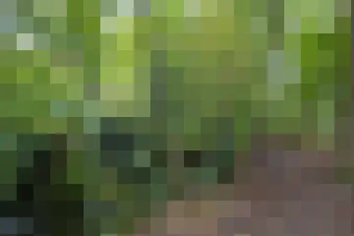 Helper Brink 61 156 Groningen thumbnail 8