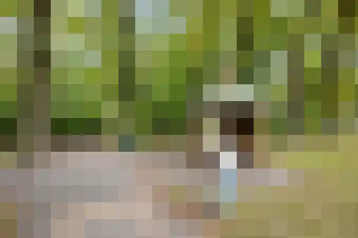 Helper Brink 61 156 Groningen thumbnail 9