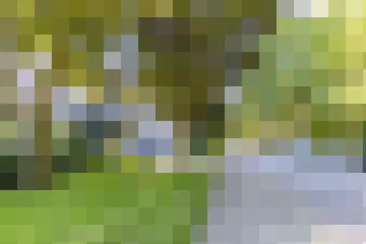 Helper Brink 61 161 Groningen thumbnail 11