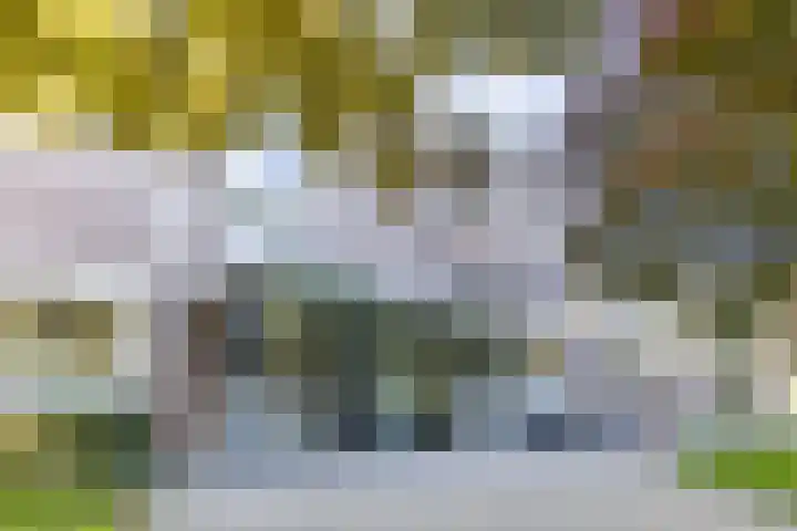 Helper Brink 61 161 Groningen thumbnail 12