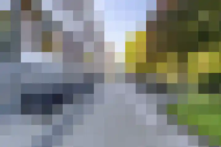 Helper Brink 61 161 Groningen thumbnail 13