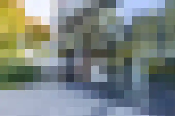 Helper Brink 61 161 Groningen thumbnail 14