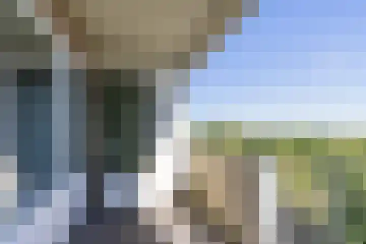 Helper Brink 61 161 Groningen thumbnail 34