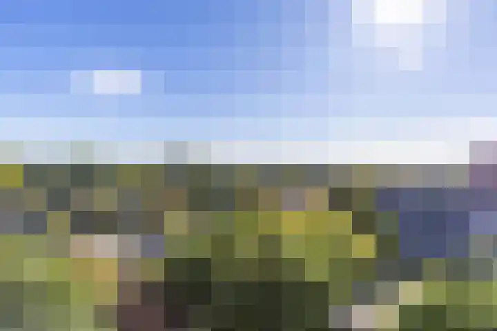 Helper Brink 61 161 Groningen thumbnail 37