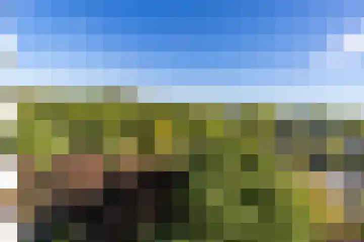 Helper Brink 61 161 Groningen thumbnail 5