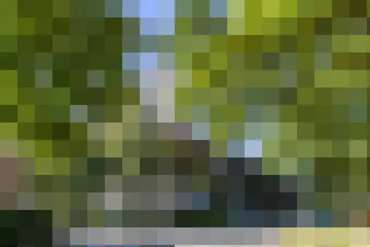 Helper Brink 61 161 Groningen thumbnail 7