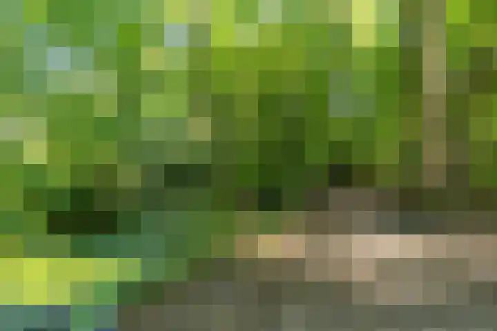 Helper Brink 61 161 Groningen thumbnail 9