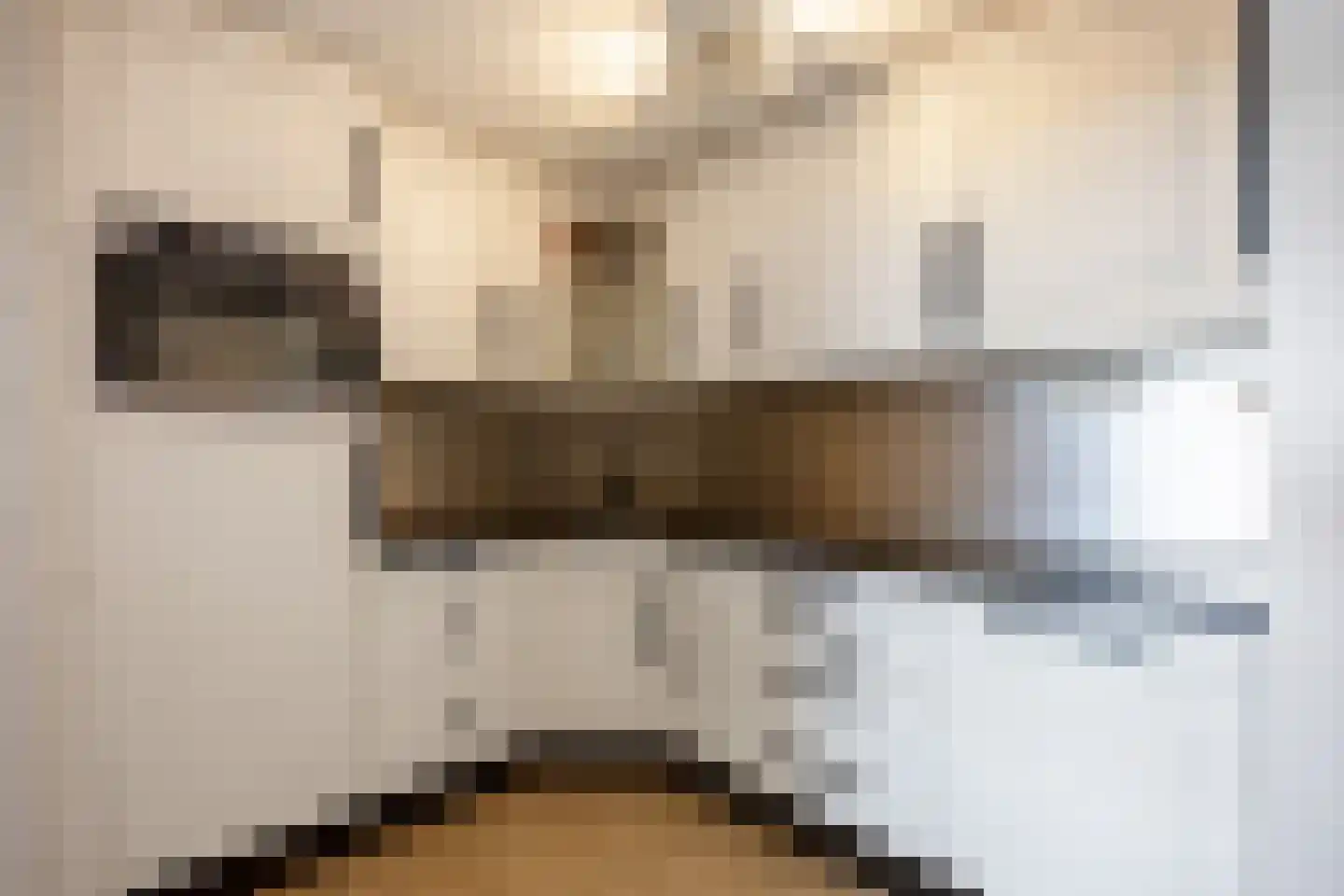 Helper Brink 61 172 Groningen thumbnail 5