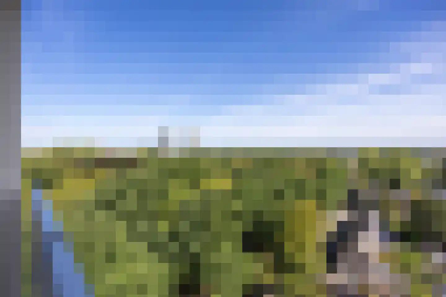 Helper Brink 61 172 Groningen thumbnail 7