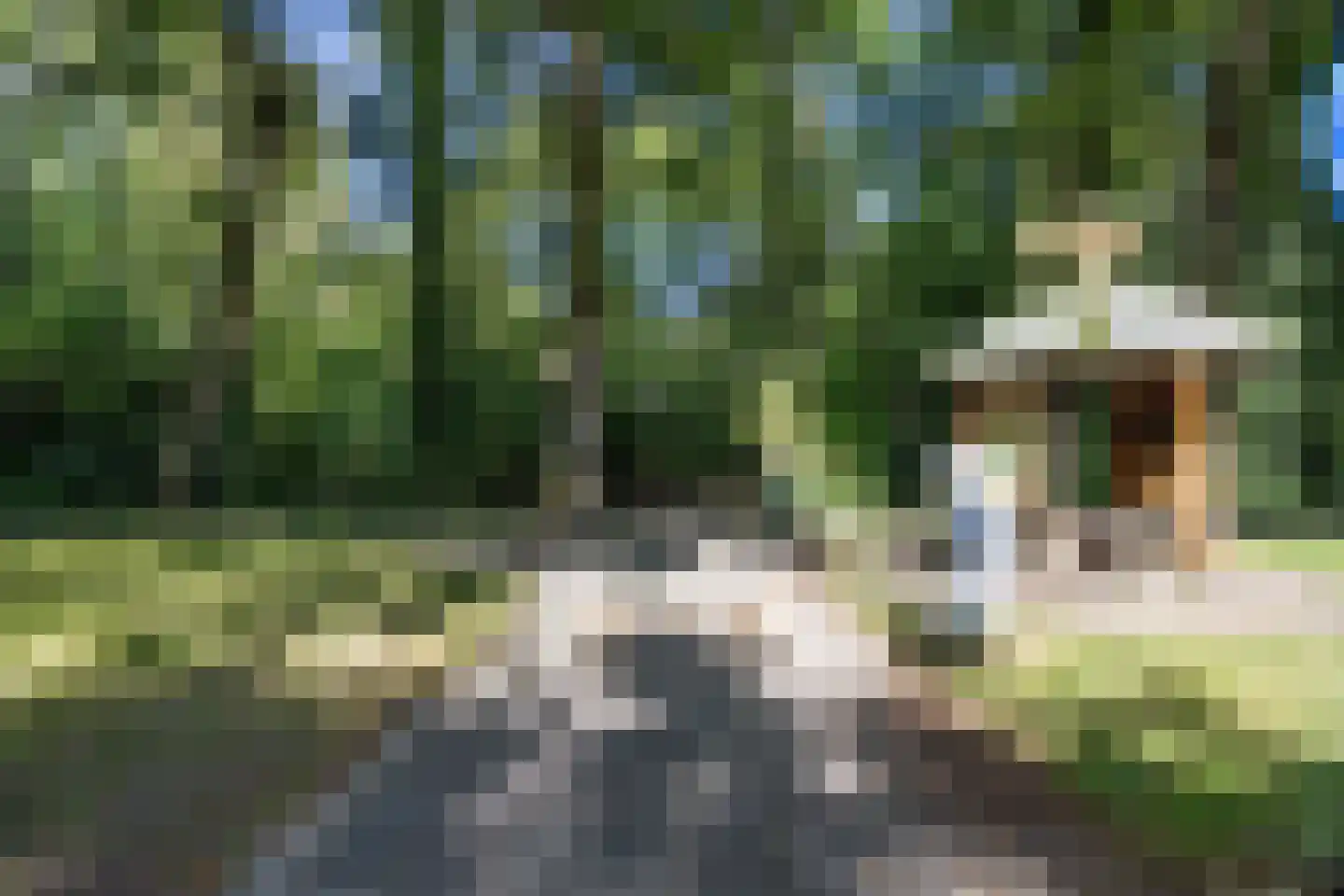 Helper Brink 61 172 Groningen thumbnail 8