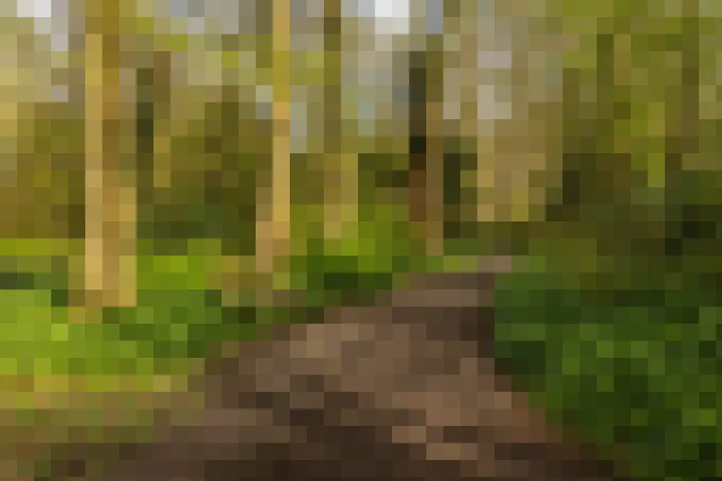 Helper Brink 61 174 Groningen thumbnail 4