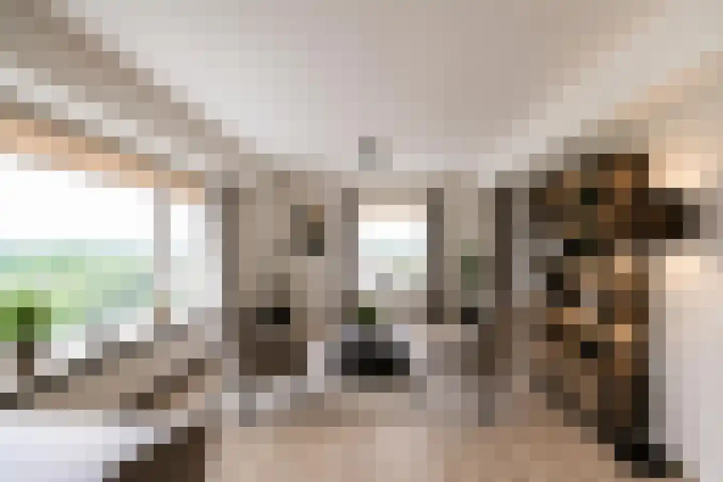Helper Brink 61 183 Groningen thumbnail 11