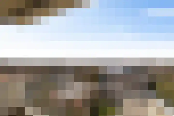 Helper Brink 61 184 Groningen thumbnail 24