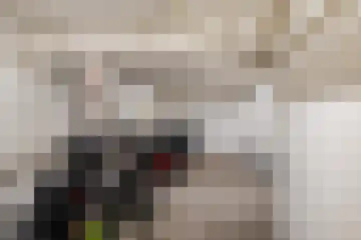 Helper Brink 61 184 Groningen thumbnail 28