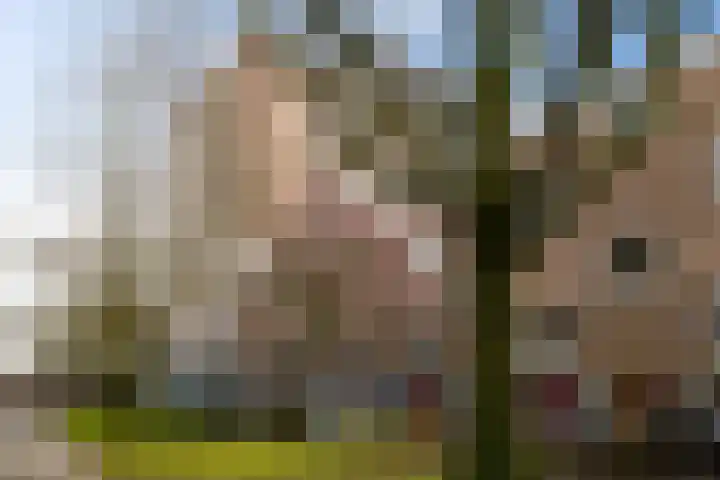 Helper Brink 61 184 Groningen thumbnail 30