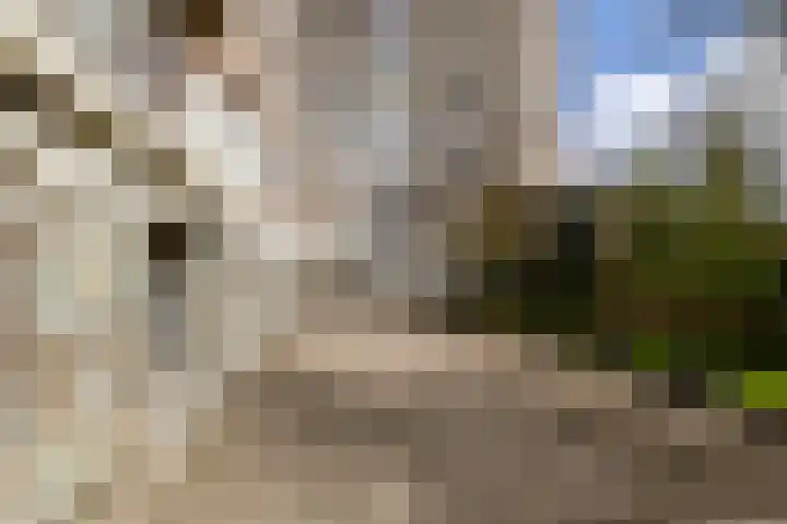Helper Brink 61 184 Groningen thumbnail 33