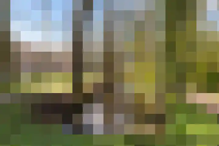 Helper Brink 61 184 Groningen thumbnail 39