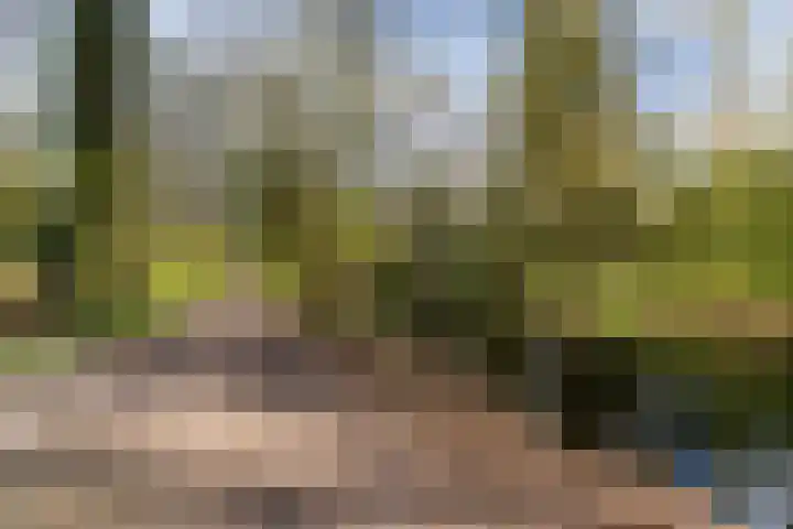 Helper Brink 61 184 Groningen thumbnail 40