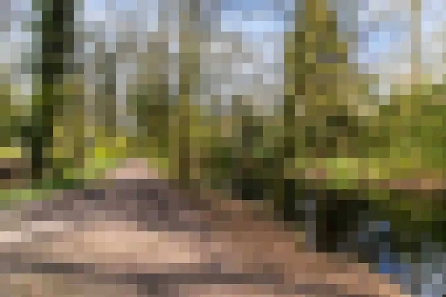 Helper Brink 61 184 Groningen thumbnail 40