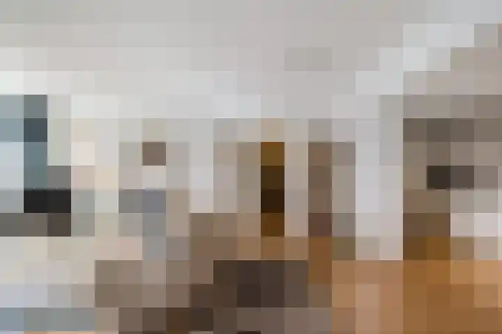 Helper Brink 61 184 Groningen thumbnail 9