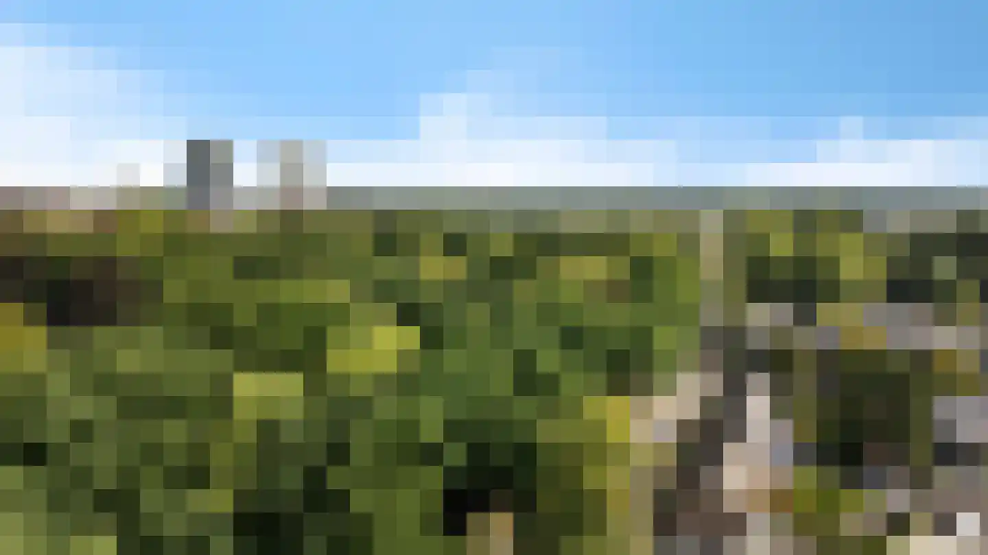 Helper Brink 61 186 Groningen thumbnail 27