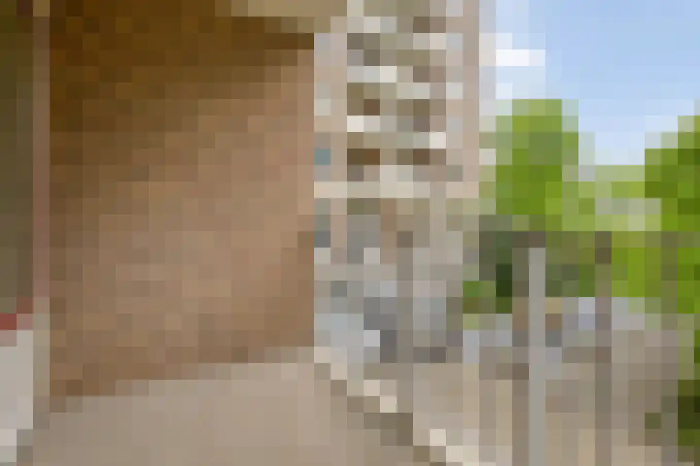 Helper Brink 61 5 Groningen thumbnail 26