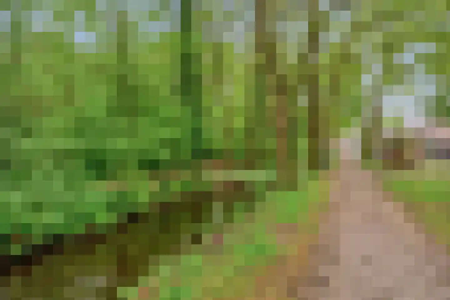 Helper Brink 61 5 Groningen thumbnail 37