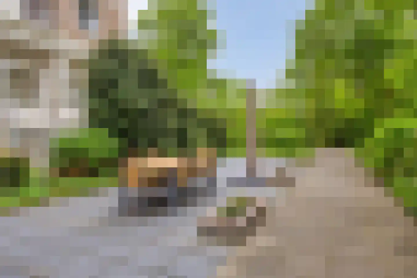 Helper Brink 61 5 Groningen thumbnail 8