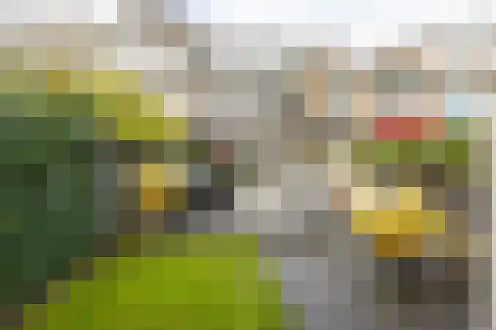 Helper Brink 69 Groningen thumbnail 48