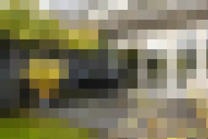 Helper Brink 69 Groningen thumbnail 49