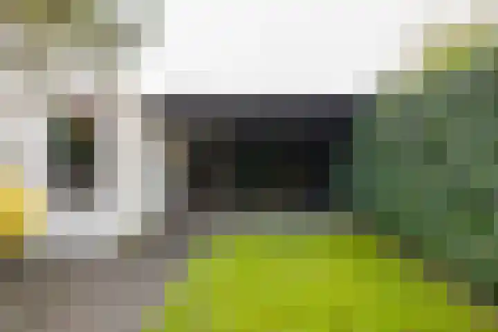 Helper Brink 69 Groningen thumbnail 50