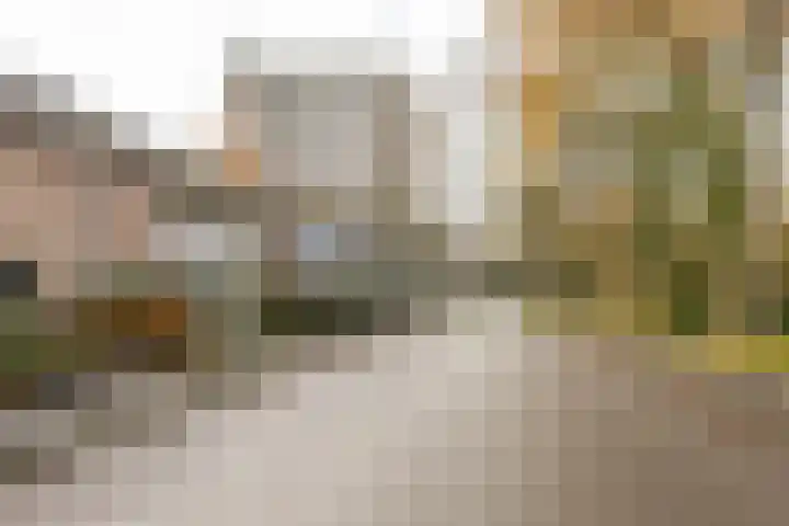 Helper Brink 69 Groningen thumbnail 52