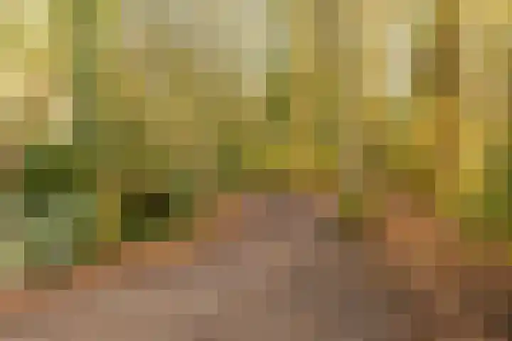 Helper Brink 69 Groningen thumbnail 53