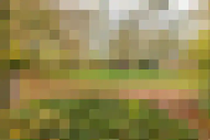 Helper Brink 69 Groningen thumbnail 56