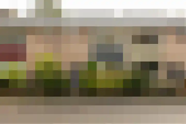 Helper Brink 69 Groningen thumbnail 8