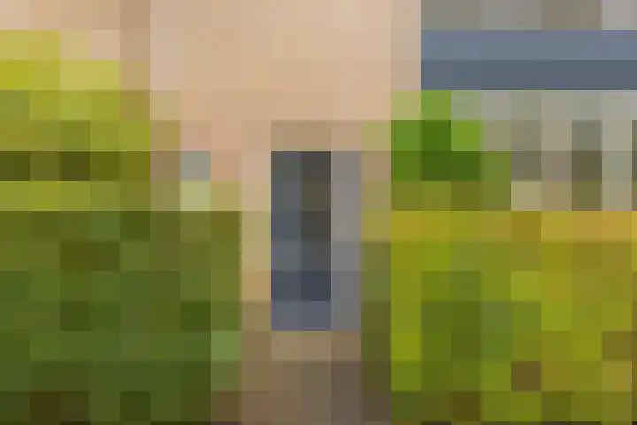 Helper Brink 69 Groningen thumbnail 9