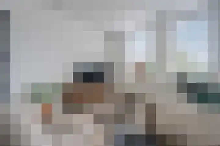 Helper Brink 8 d Groningen thumbnail 16