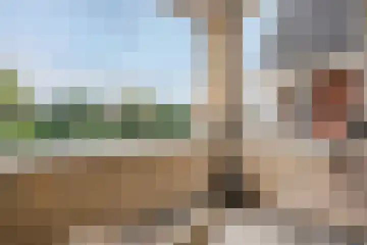 Helper Brink 8 d Groningen thumbnail 23