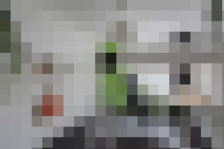 Helper Brink 8 d Groningen thumbnail 31
