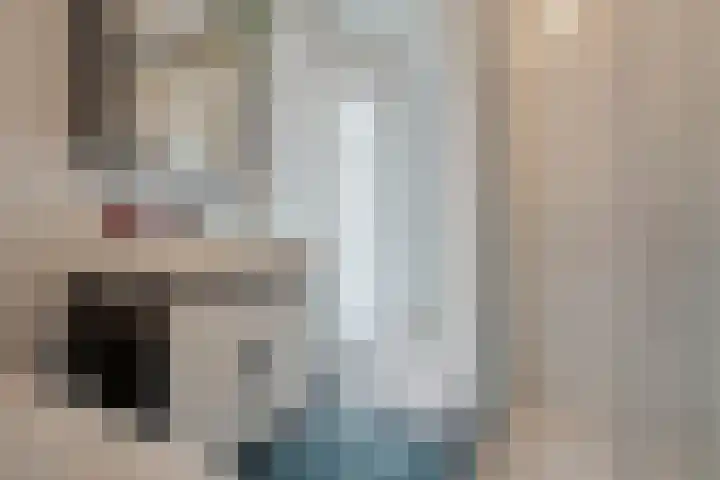Helper Brink 8 d Groningen thumbnail 34