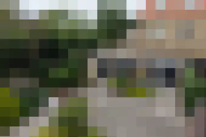 Helper Brink 8 d Groningen thumbnail 35