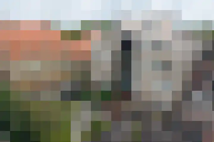 Helper Brink 8 d Groningen thumbnail 36